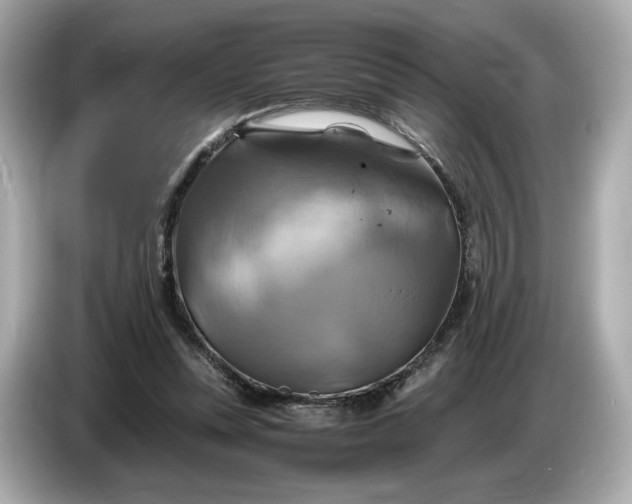 X0000087010351200704301422