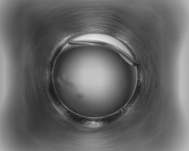 X0000087010352200704301422