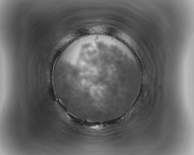 X0000087010353200704301422