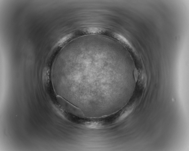 X0000087010356200704301422