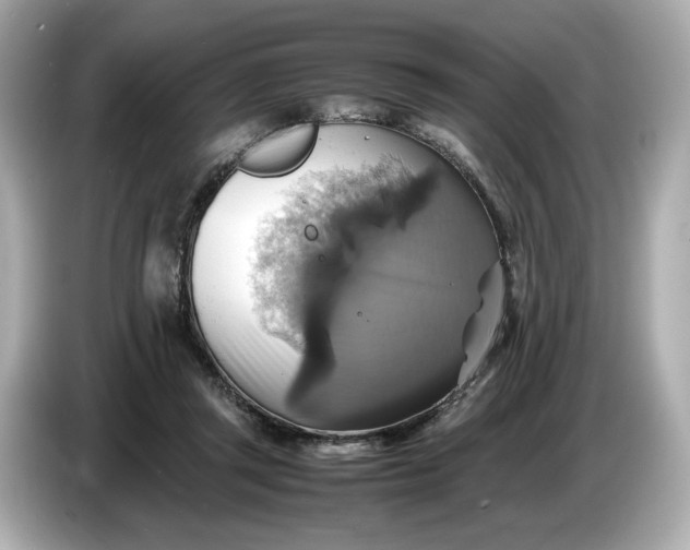 X0000087010357200704301422