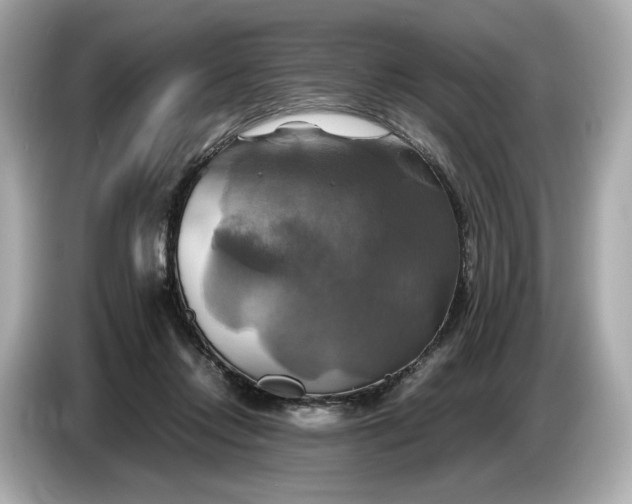 X0000087010358200704301422