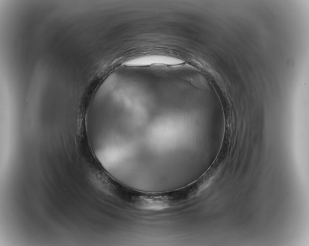 X0000087010359200704301422