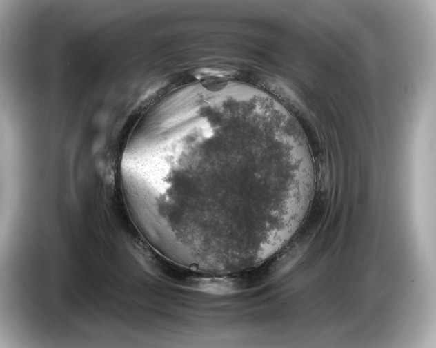 X0000087010363200704301422