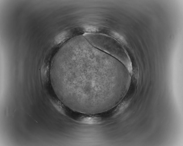 X0000087010364200704301422