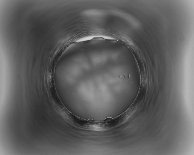 X0000087010365200704301422