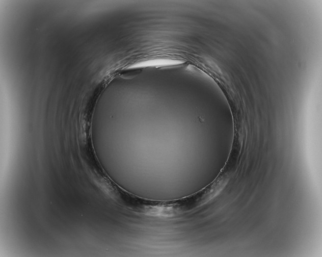 X0000087010366200704301422