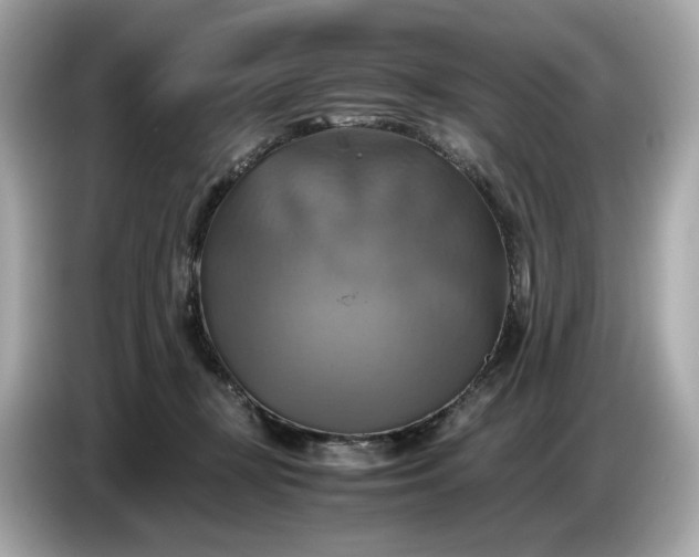 X0000087010367200704301422