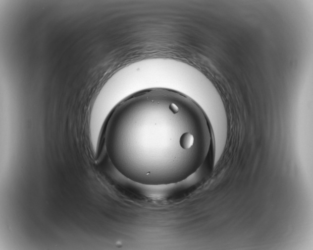 X0000087010368200704301422