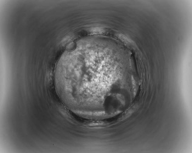 X0000087010369200704301422