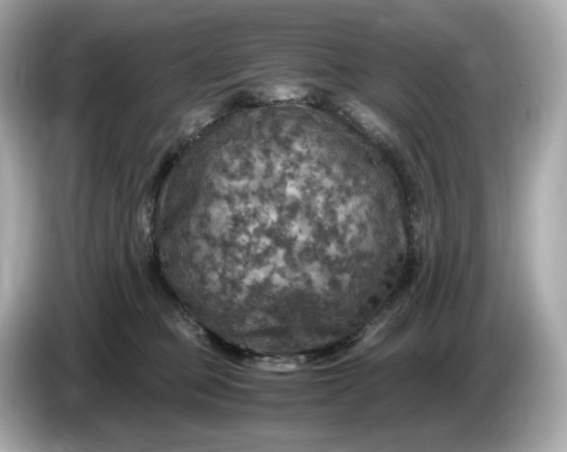 X0000087010373200704301423