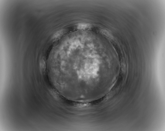 X0000087010375200704301423