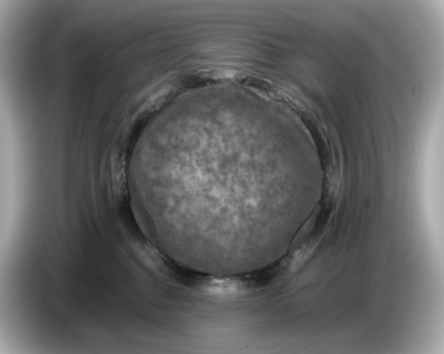 X0000087010376200704301423