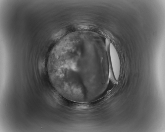 X0000087010377200704301423