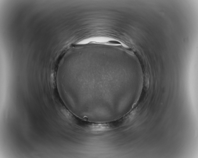 X0000087010378200704301423