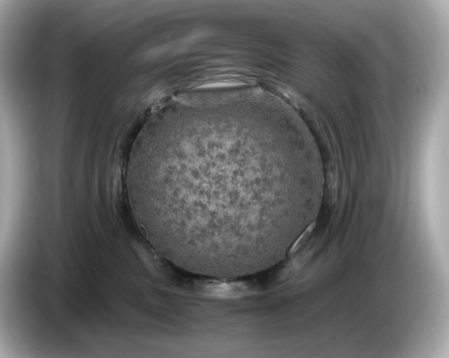 X0000087010379200704301423