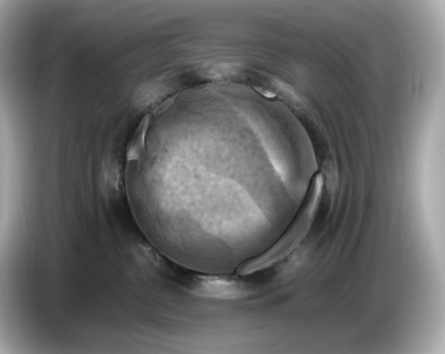 X0000087010380200704301423