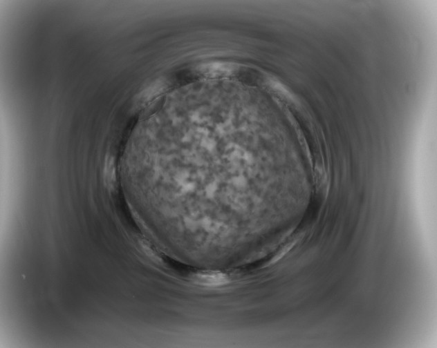 X0000087010381200704301423