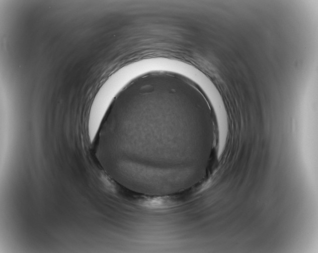 X0000087010382200704301423