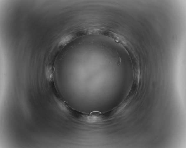 X0000087010383200704301423