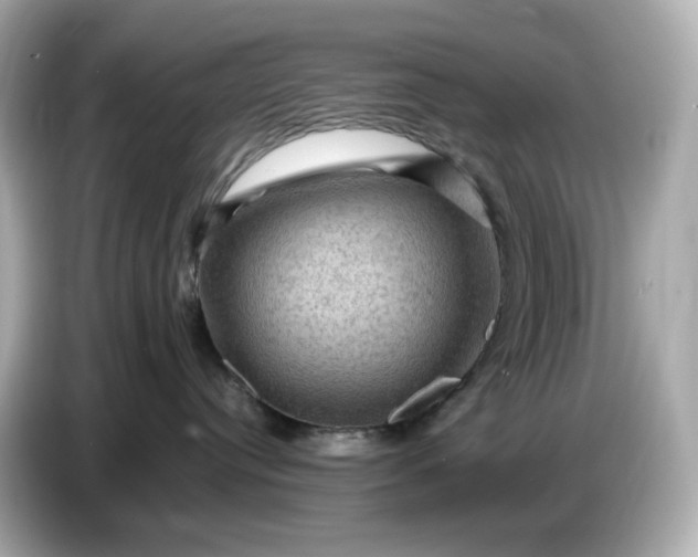 X0000087010384200704301423