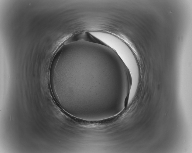 X0000087010385200704301422