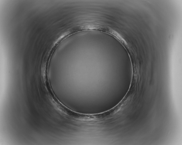 X0000087010386200704301422