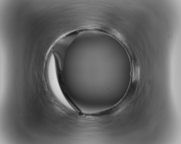 X0000087010387200704301422