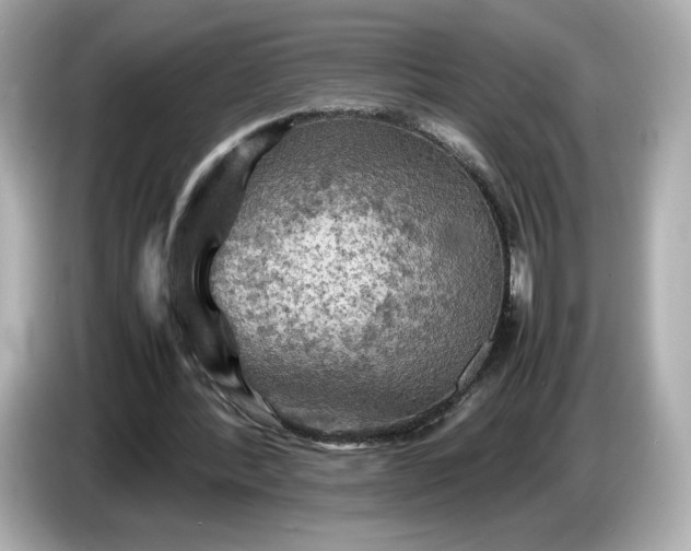 X0000087010388200704301422