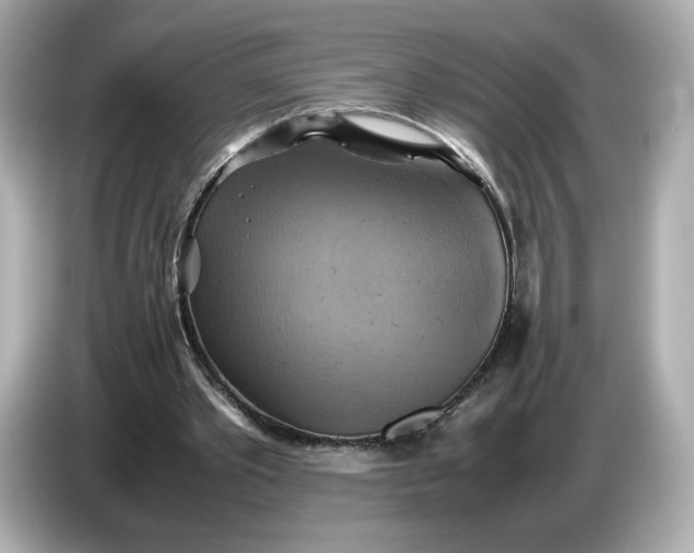 X0000087010389200704301422