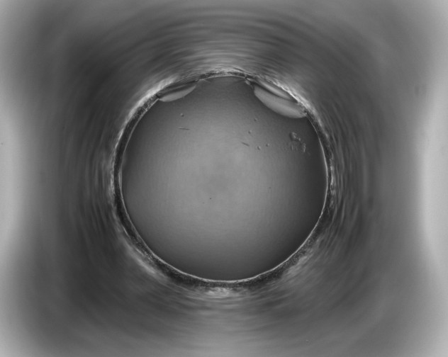 X0000087010390200704301422