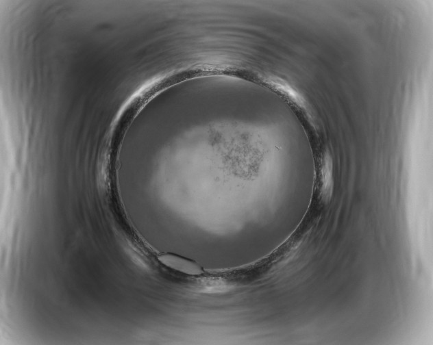 X0000087010392200704301422