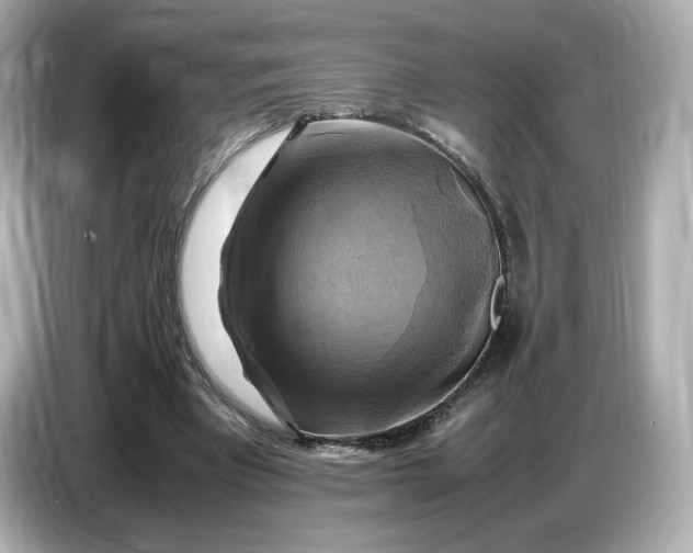 X0000087010393200704301422