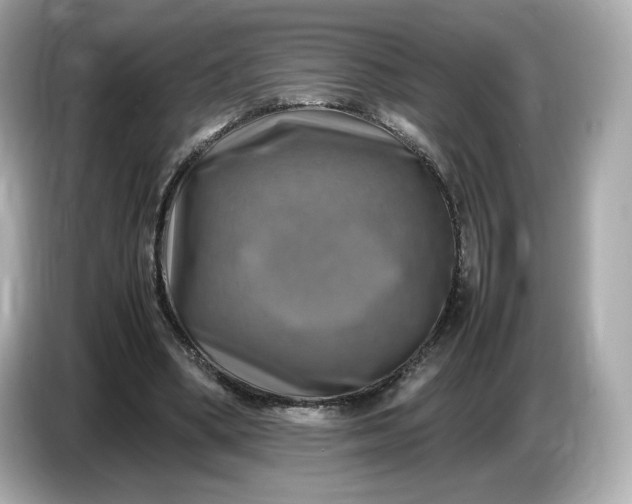 X0000087010394200704301422