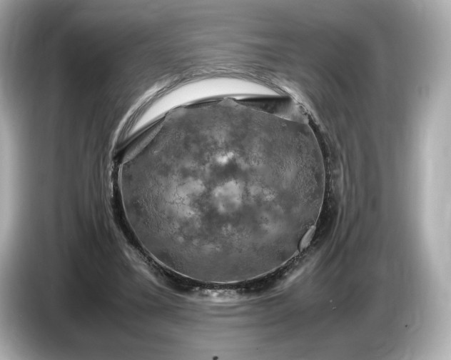 X0000087010395200704301422