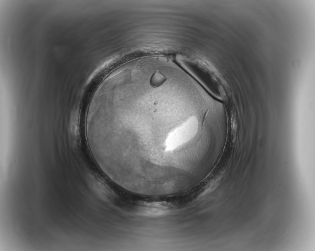 X0000087010396200704301422