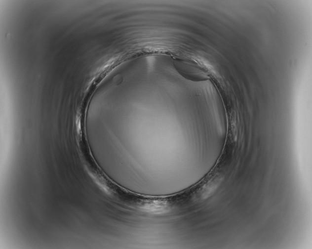 X0000087010398200704301422