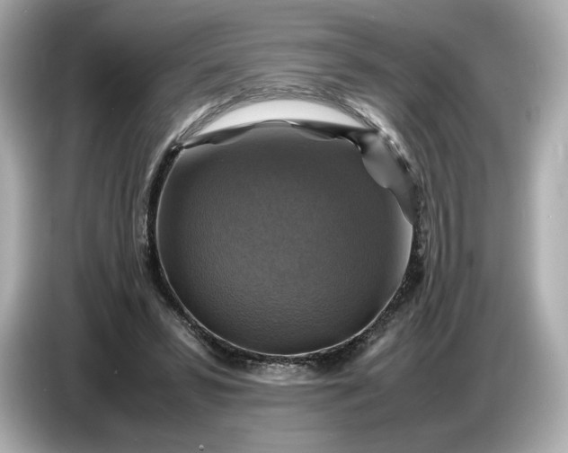 X0000087010399200704301422