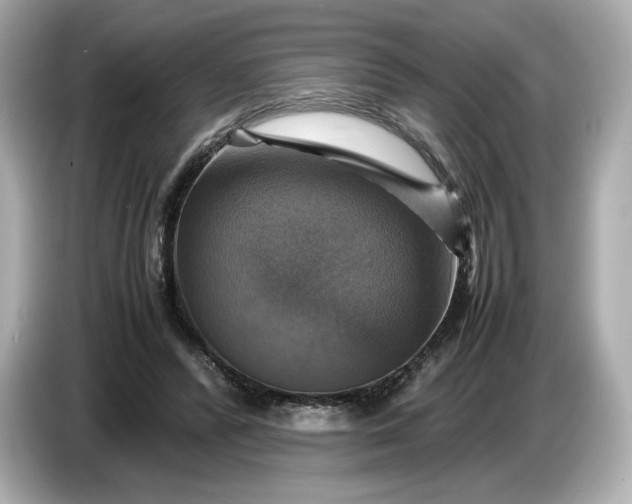 X0000087010400200704301422