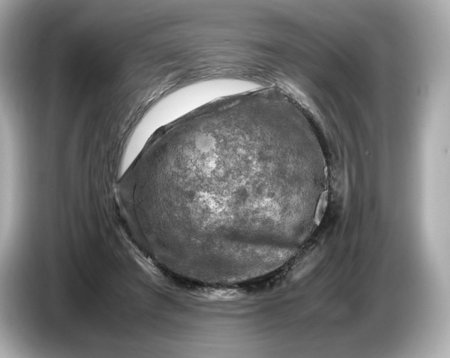 X0000087010401200704301422