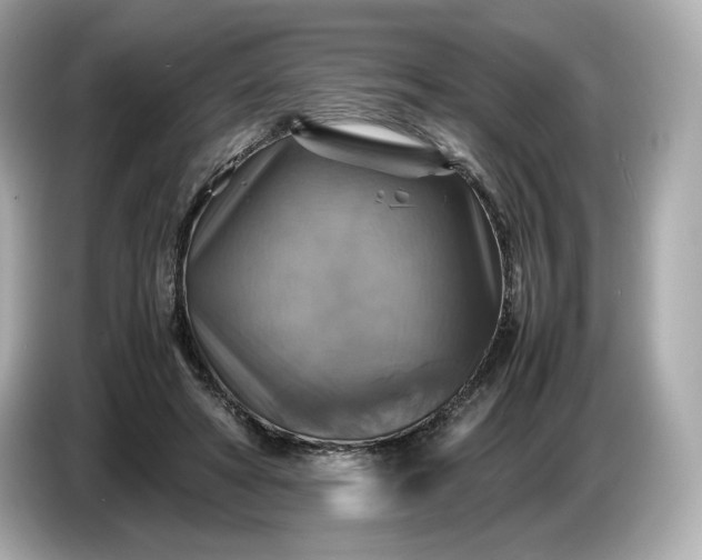 X0000087010402200704301422