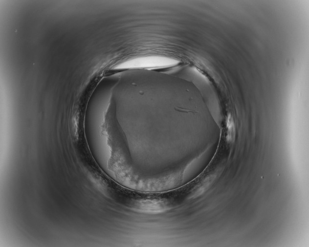 X0000087010404200704301422