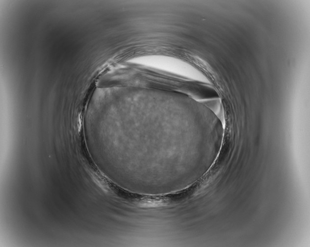 X0000087010405200704301422