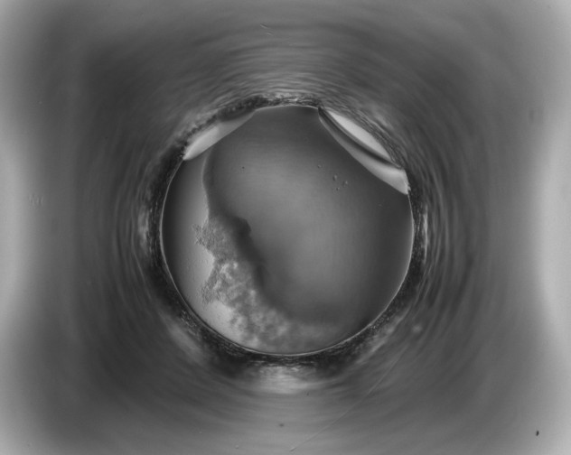 X0000087010408200704301422