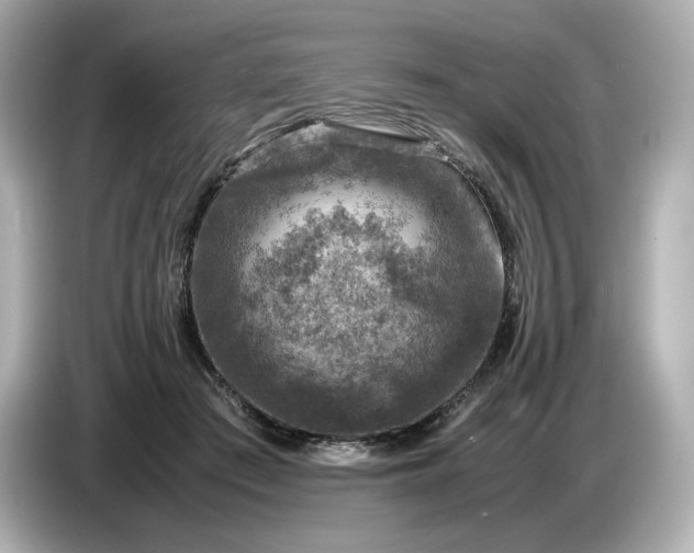 X0000087010409200704301422