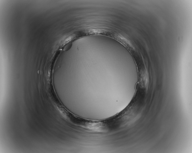 X0000087010410200704301422