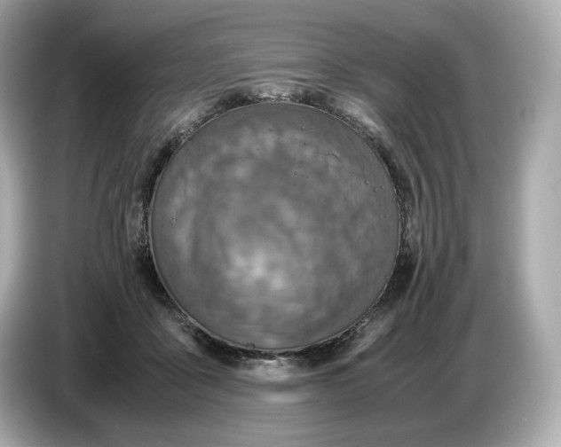 X0000087010411200704301422