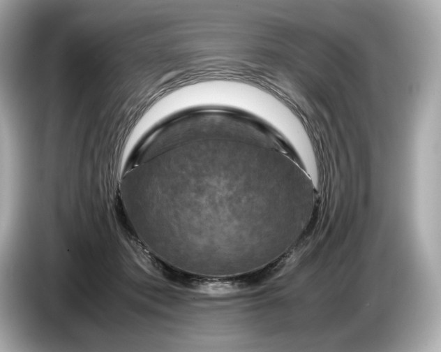 X0000087010413200704301422