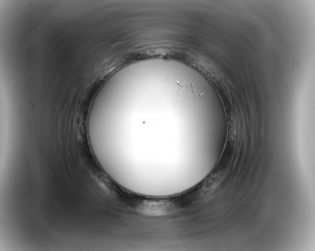 X0000087010414200704301421