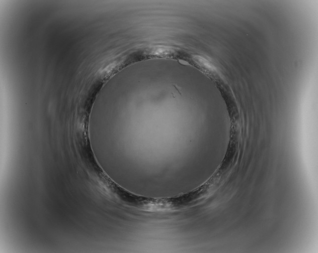 X0000087010415200704301421